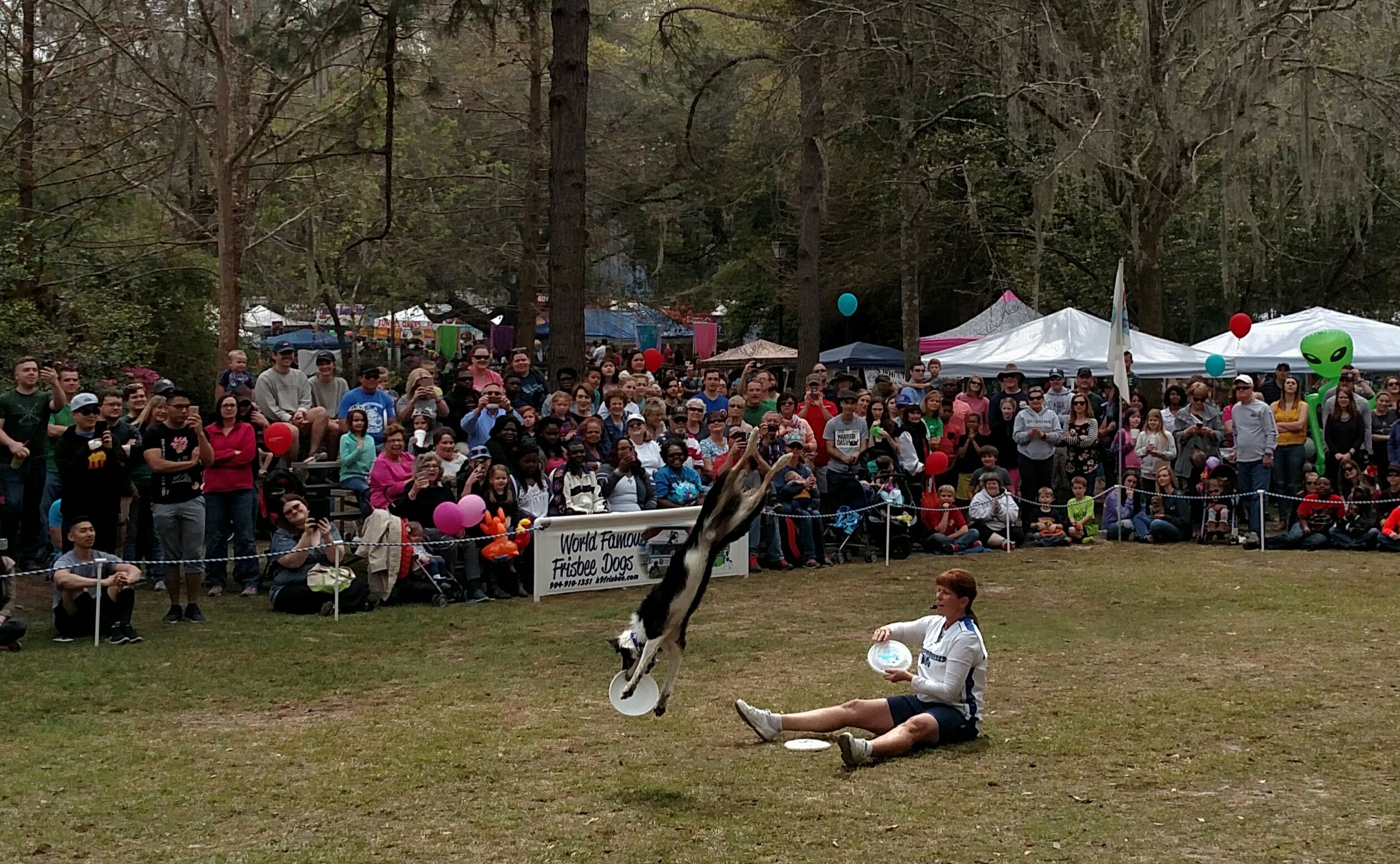 Gallery ValdostaLowndes Azalea Festival
